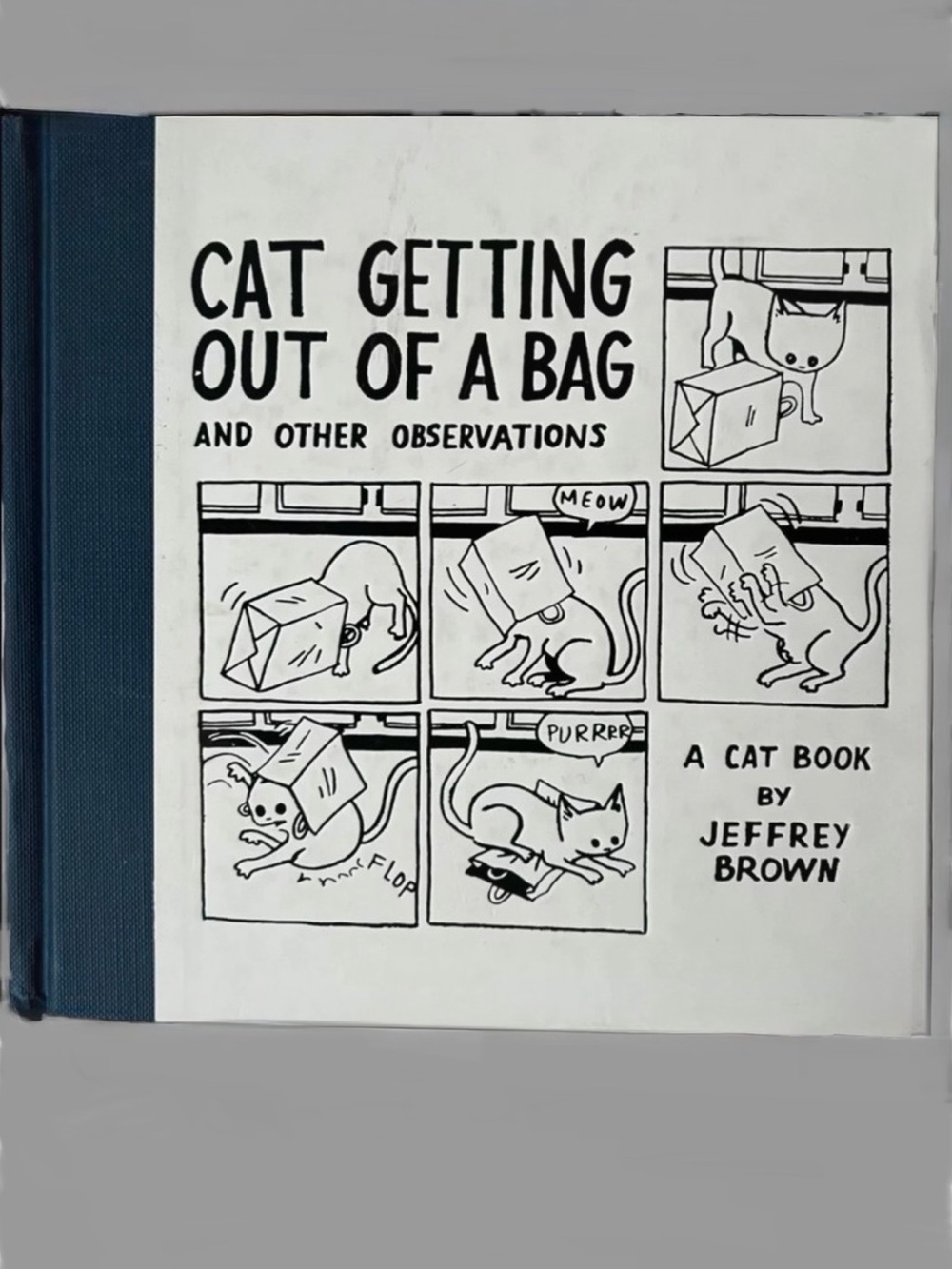 Cat Getting Out of a Bag And Other Observations Comics Hardback by Jeffrey Brown